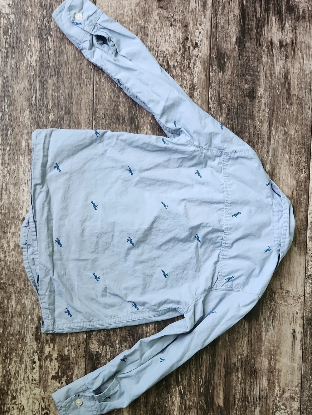 OshKosh B'gosh Light Blue Button-Down Shirt with Navy Dinosaur Embroidery Size 5